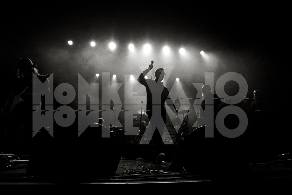 Monkey Okay